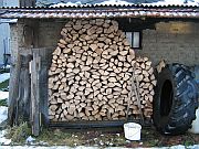 Dřevo