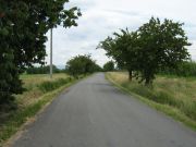 Třešňová alej